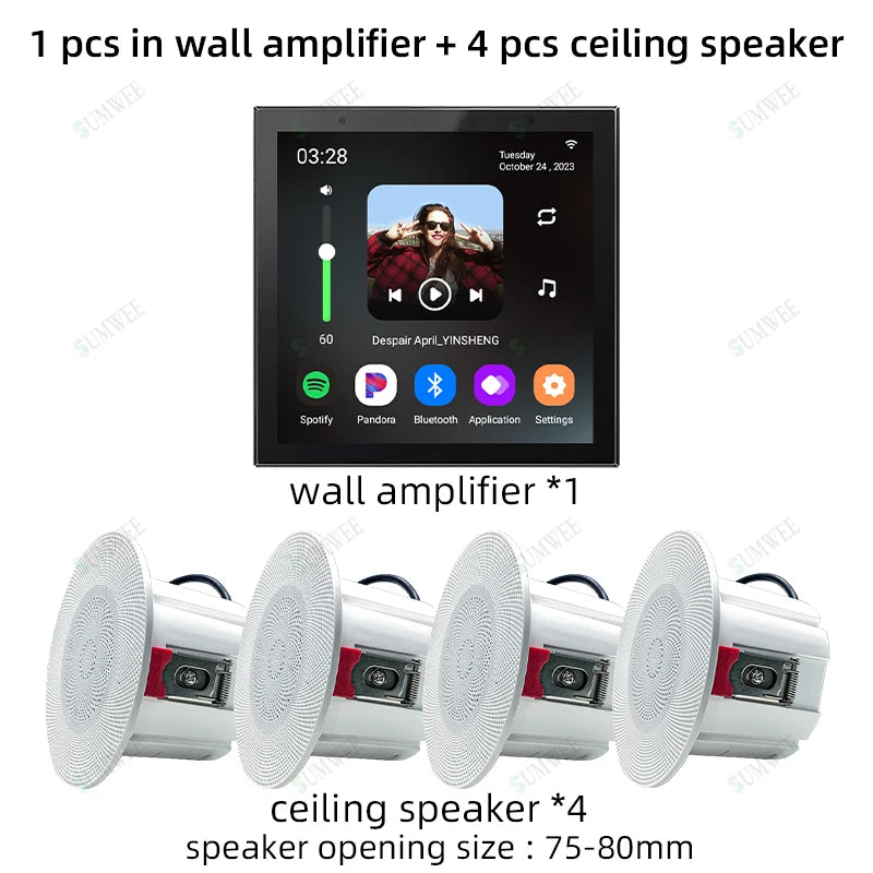 Smart Audio System TUYA Home Sound in Wall Amplifier Android 11 system WiFi Bluetooths Amp with Stereo Ceiling Speaker Kit Hotel