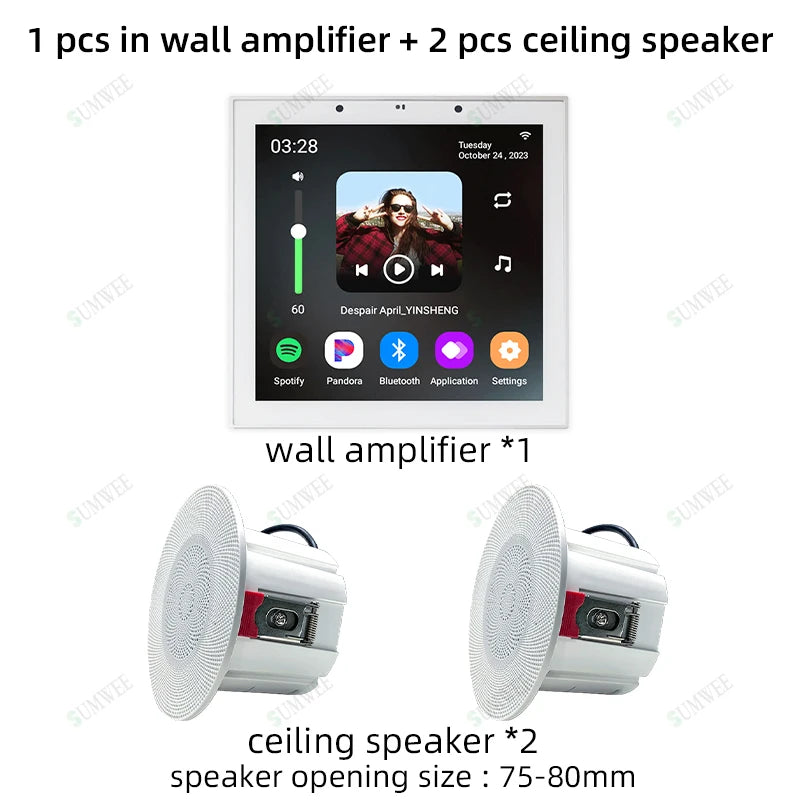 Smart Audio System TUYA Home Sound in Wall Amplifier Android 11 system WiFi Bluetooths Amp with Stereo Ceiling Speaker Kit Hotel