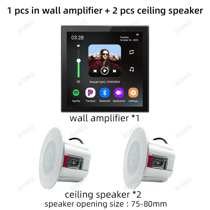 Smart Audio System TUYA Home Sound in Wall Amplifier Android 11 system WiFi Bluetooths Amp with Stereo Ceiling Speaker Kit Hotel