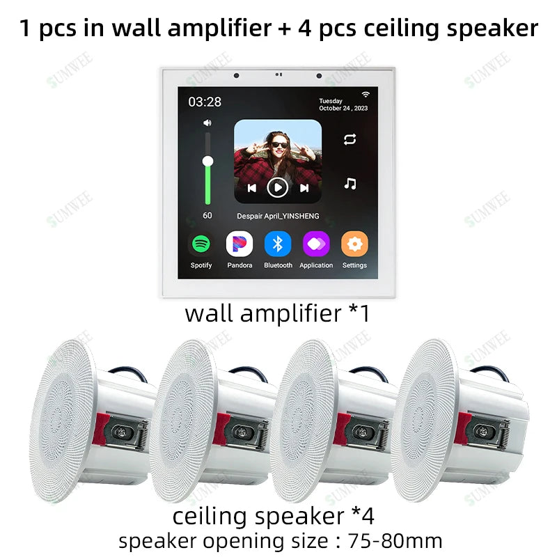 Smart Audio System TUYA Home Sound in Wall Amplifier Android 11 system WiFi Bluetooths Amp with Stereo Ceiling Speaker Kit Hotel